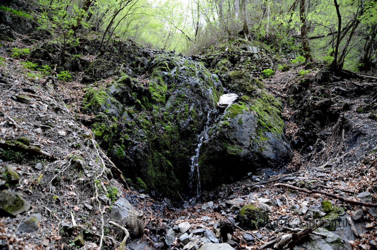 雲取山　日帰り登山